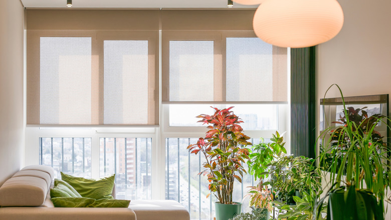 Roller shades covering apartment balcony door