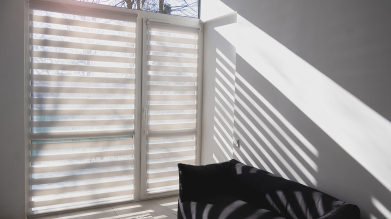 Zebra shade over glass door in minimalist living room
