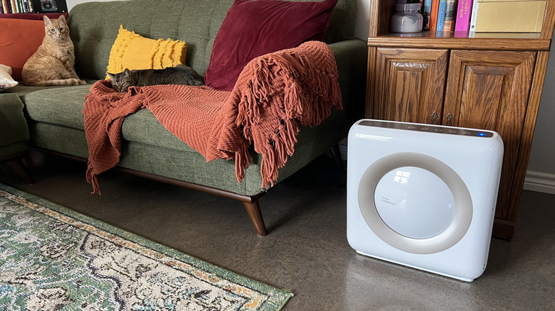 Coway Airmega Mighty AP-1512HH air purifier in living room beside couch and bookshelf.
