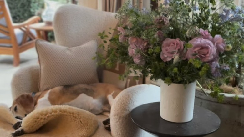 A beagle sleeps on a cream boucle fabric armchair next to a table with a vase of flowers sitting on it