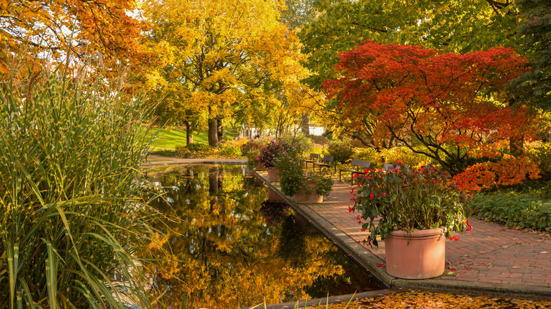Fall garden scene with flowers and foliage