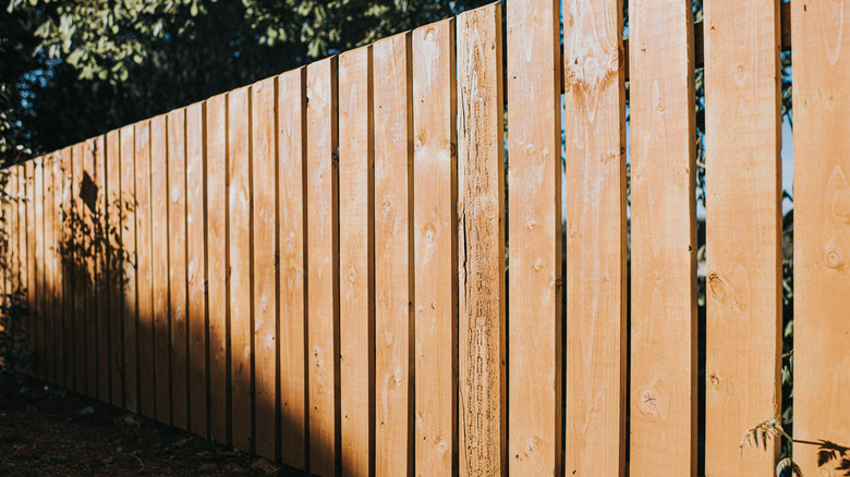 A simple wooden fence