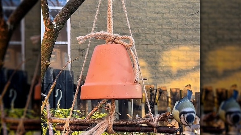 A DIY bird feeder made from a terracotta pot hanging on a tree with a small bird on the perch