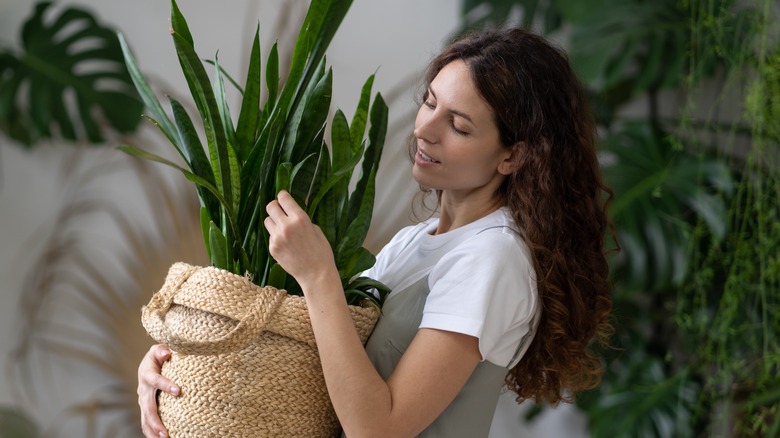 woman carrying wicker basket plant