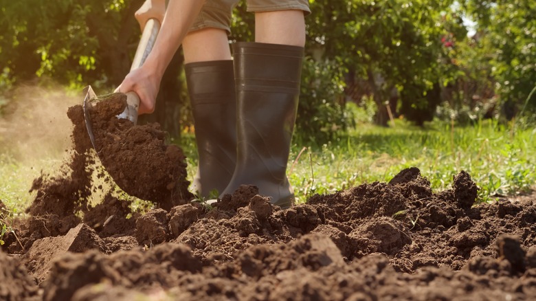 gardener shoveling soil