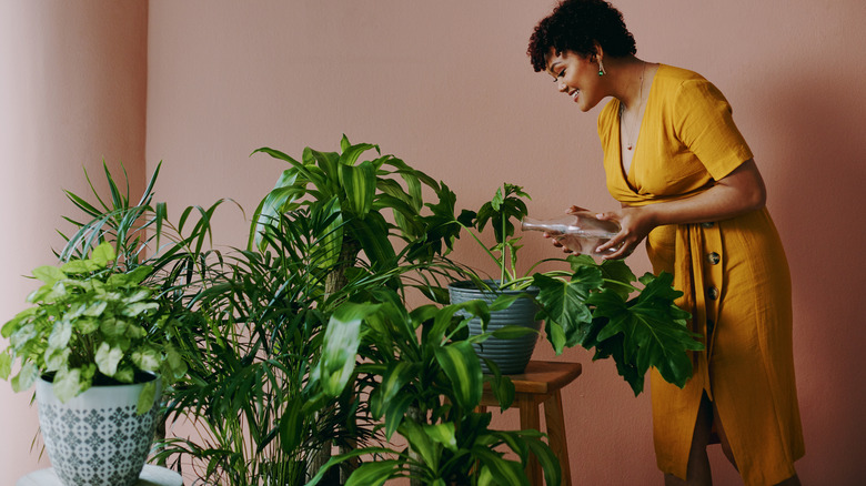 Woman watering indoor garden