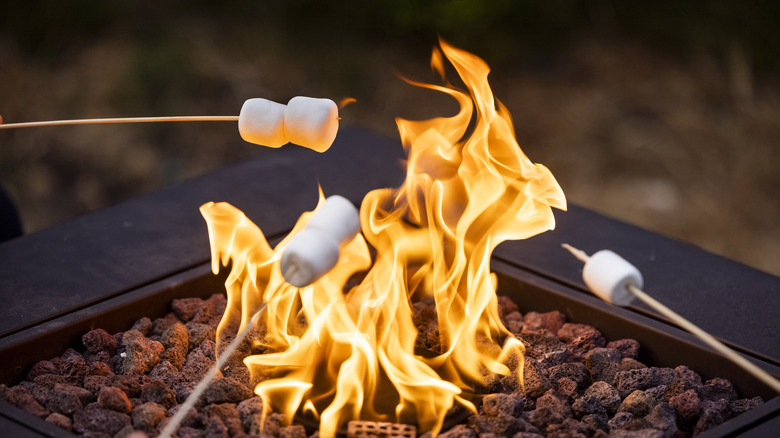 roasting marshmallows on fire pit