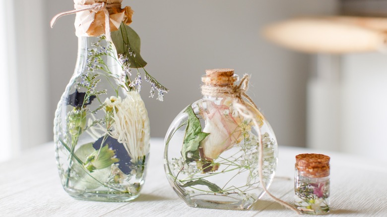 Set of herbarium vases on table