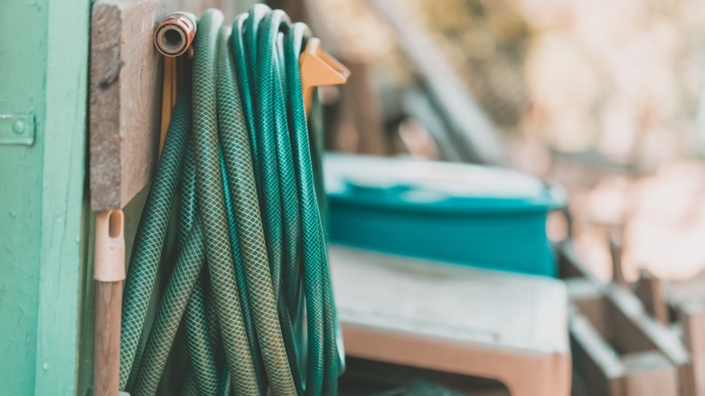 Garden hose hanging on rack