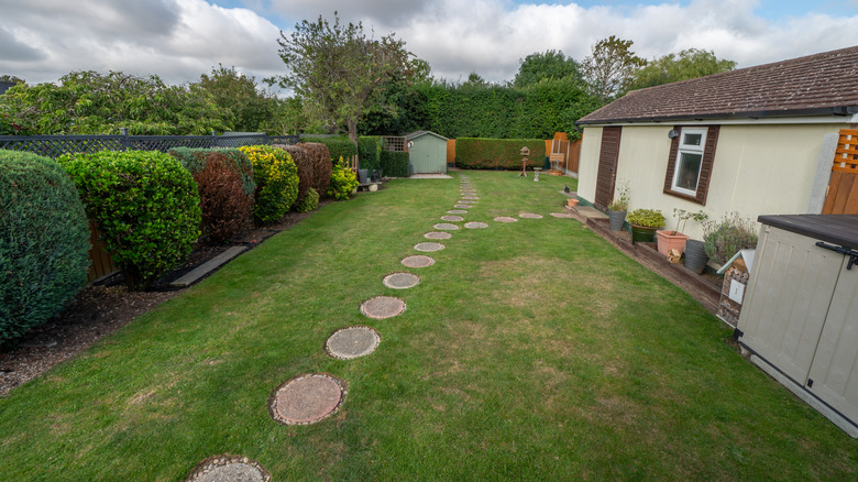 stepping stones in a yard