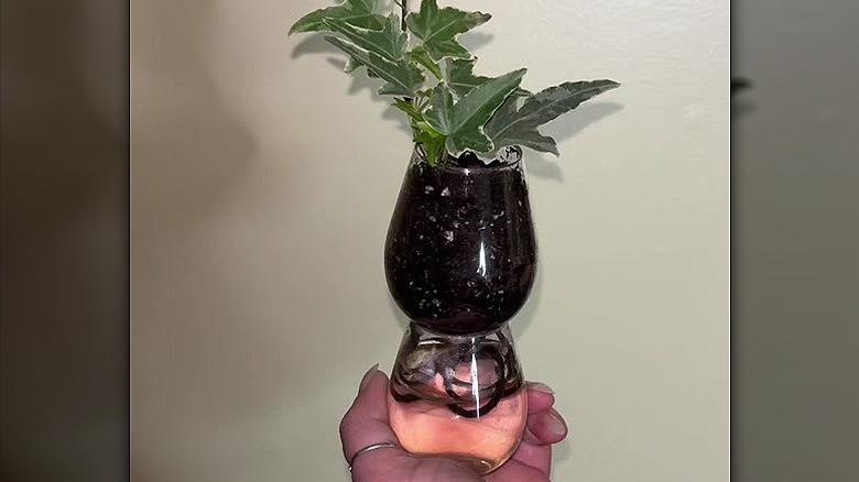 A hand holding one self-watering starter pot with a cutting inside.
