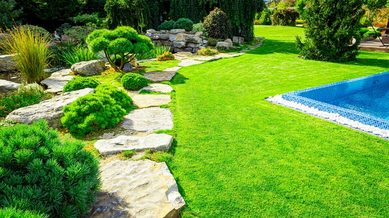 Zen garden landscape for yard