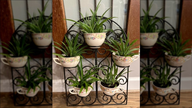 DIY plant stand made from a tea-light sconce