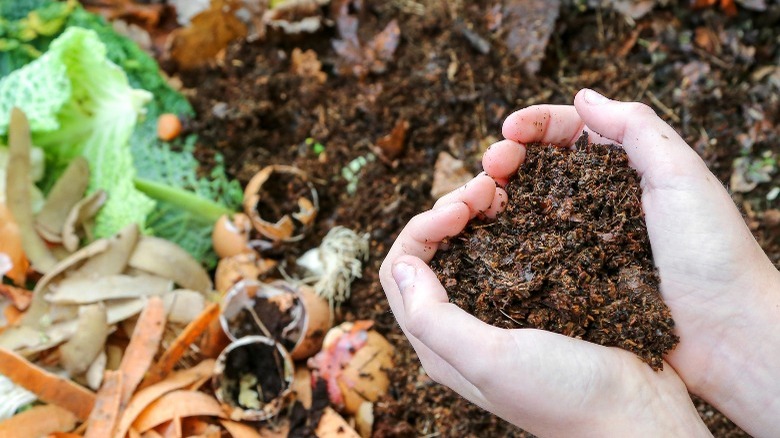 Hands holding dirt in heart shape over composting bin