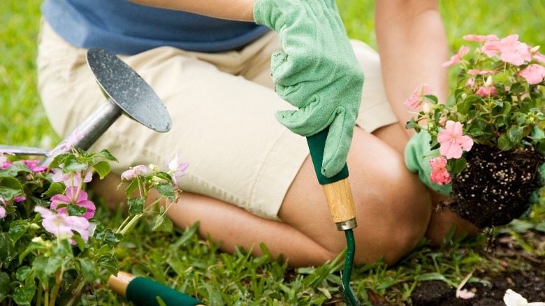 Kneeling down in garden