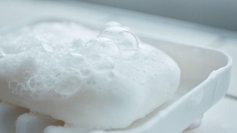 Bubbly bar of soap in dish