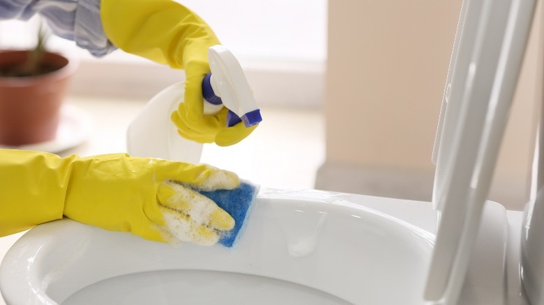Cleaning toilet with sponge