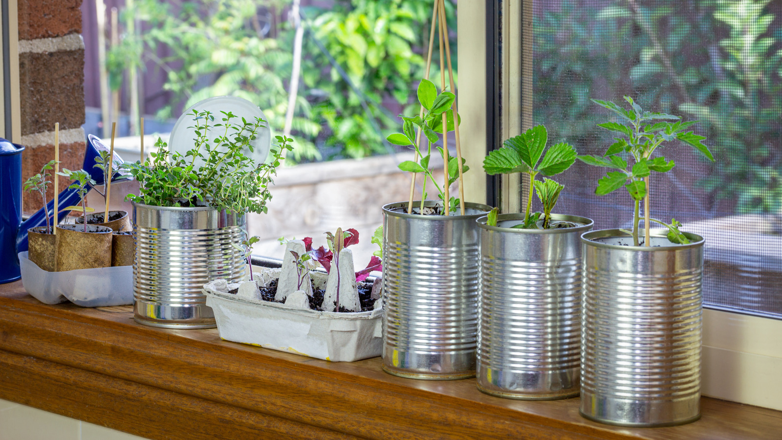 Creative Ways to Reuse Paint Cans for Home Organization