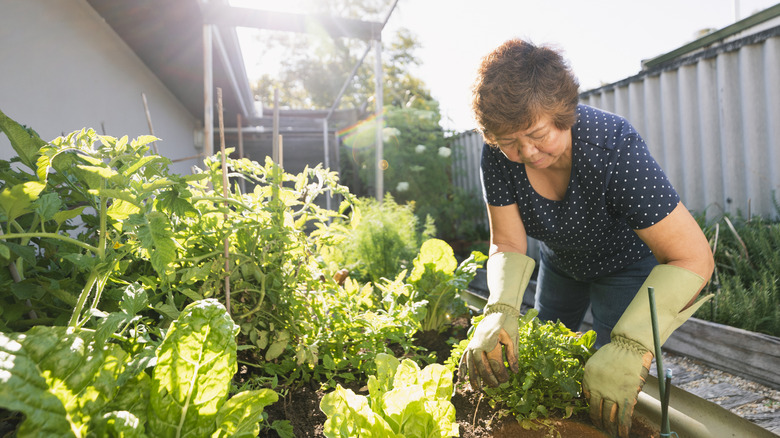 woman tending her garden 