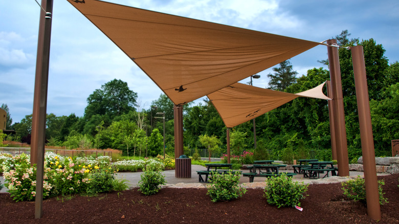 shade sail over plants 