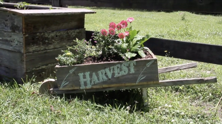 A wooden wheelbarrow with flowers.