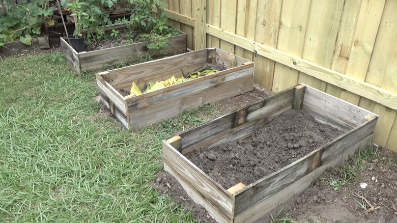 Three raised bed gardens in a backyard.