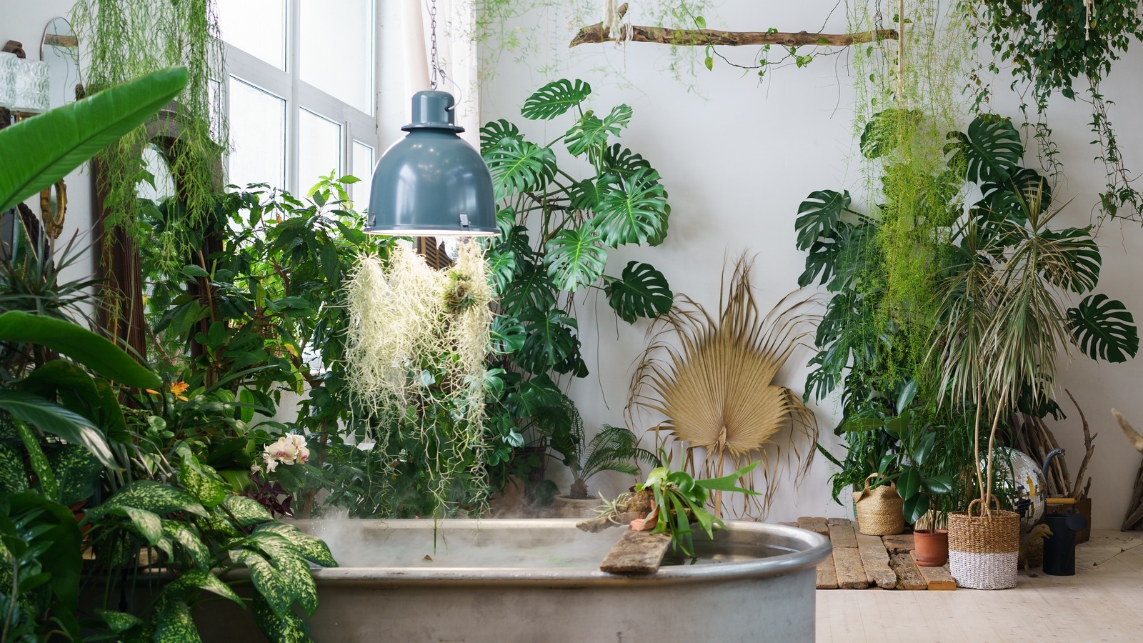 Crucial Grow Light Mistakes That Can Secretly Kill Your Plants House