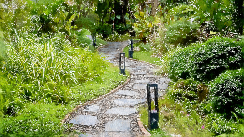 Winding garden walkway with lights