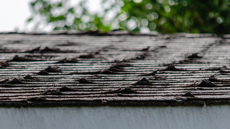 View of a roof with the corners of the shingles curling up