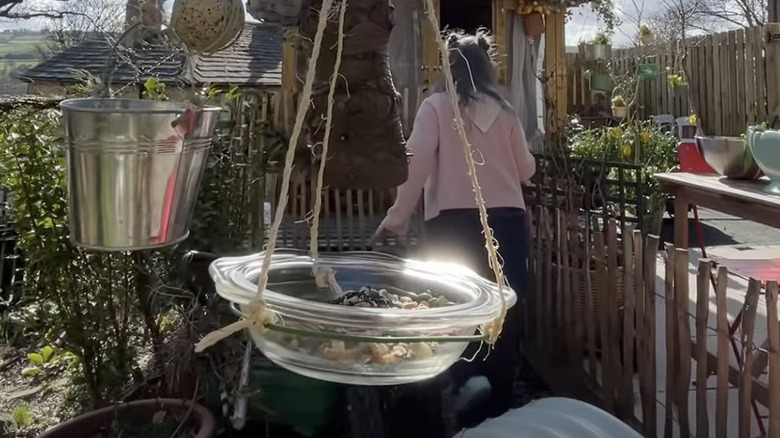 An upturned transparent glass casserole dish lid tied hangs from a tree branch by metal chain link.