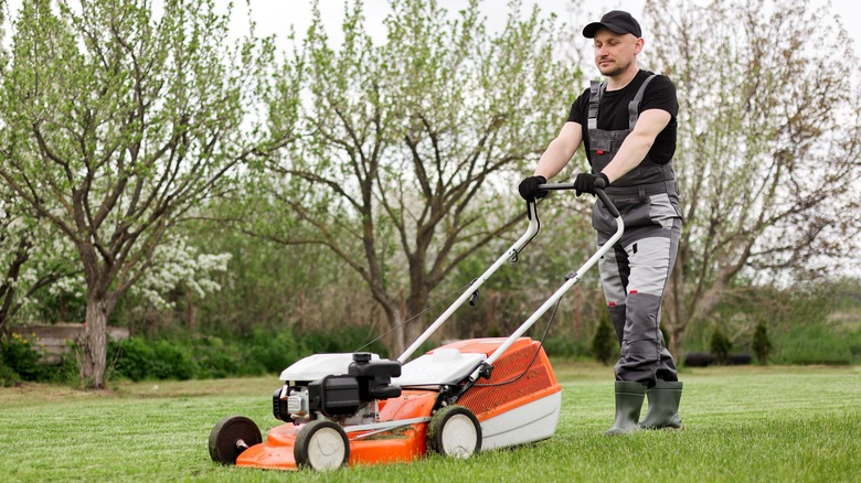 A man mowing a lawn with a rotary mower