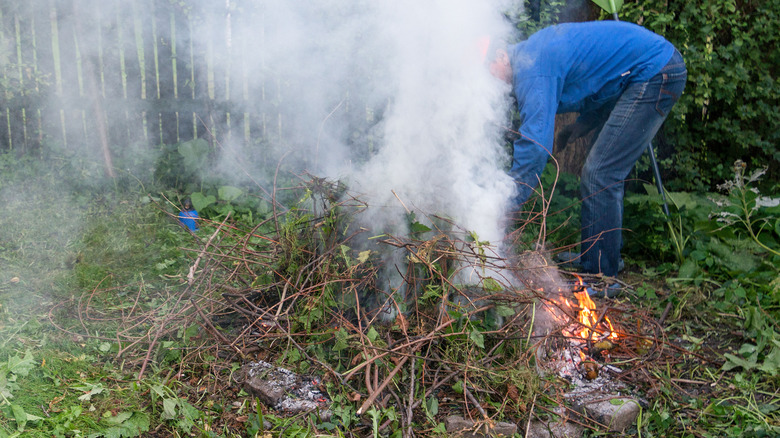Person burning plants