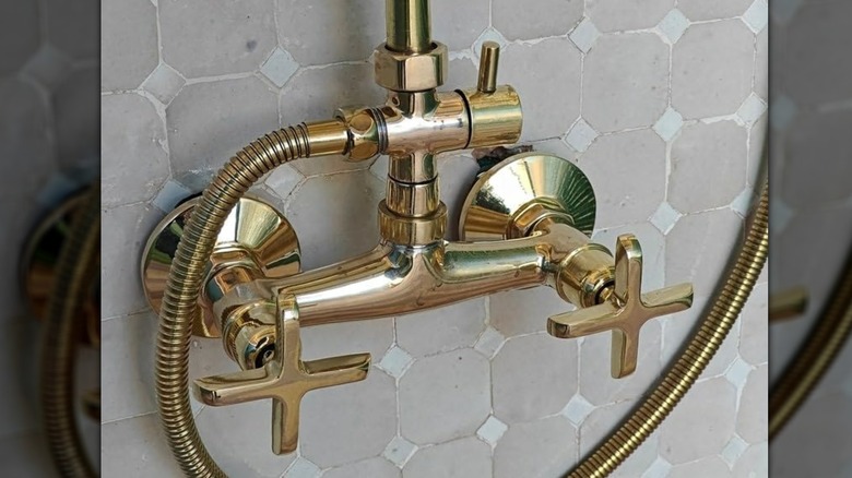 Unlacquered brass shower fixture