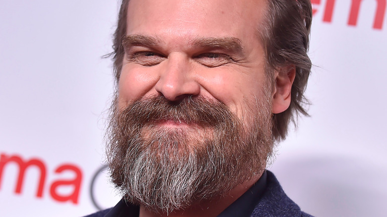 David Harbour smiling