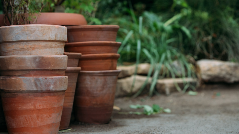 terra cotta planters in garden