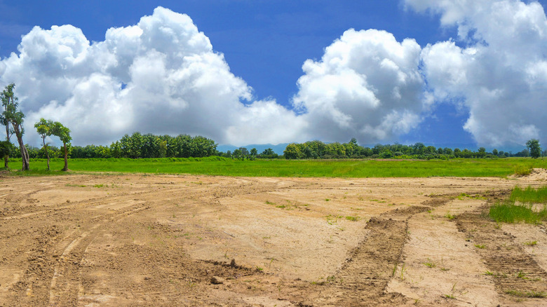 compact soil