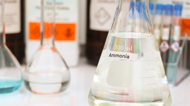 Flask of ammonia