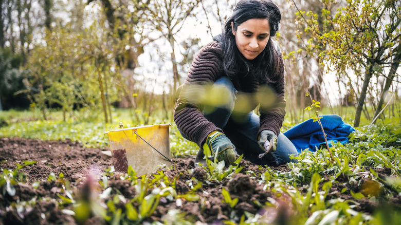 Woman working in a garden in cold weather
