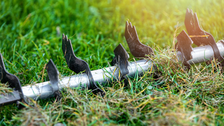 scarifier blades