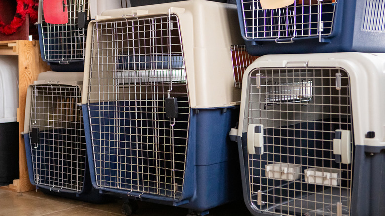 Empty pet carriers in various sizes are stacked on each other