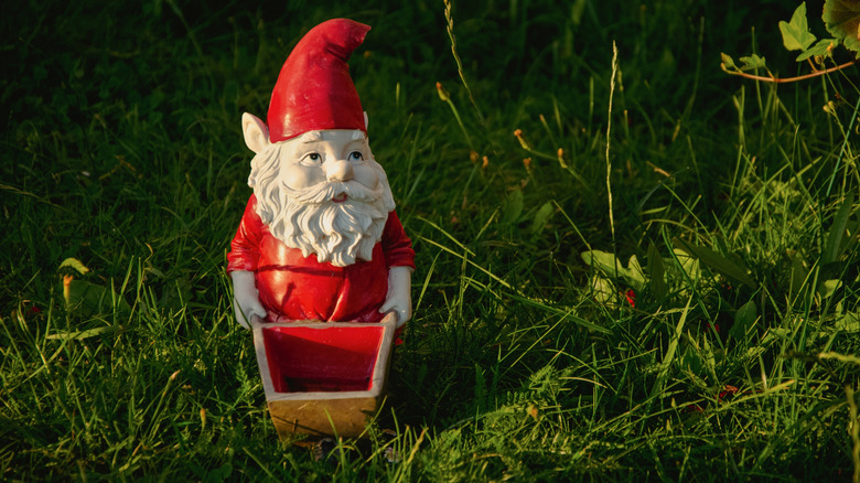 A red and white garden gnome