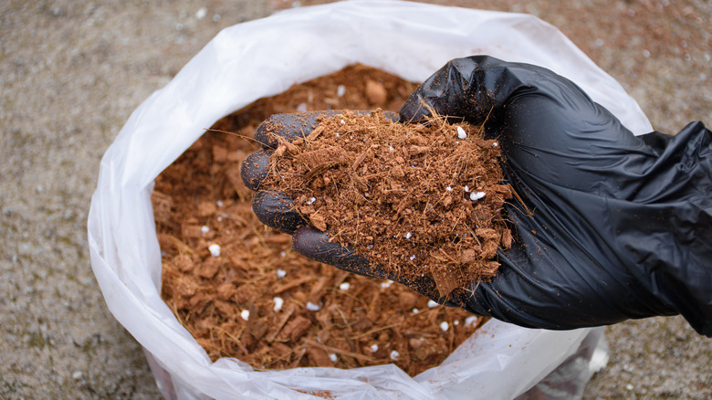 A person holding dirt in a gloved hand
