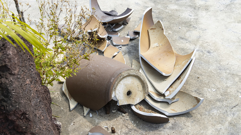 A broken flower pot