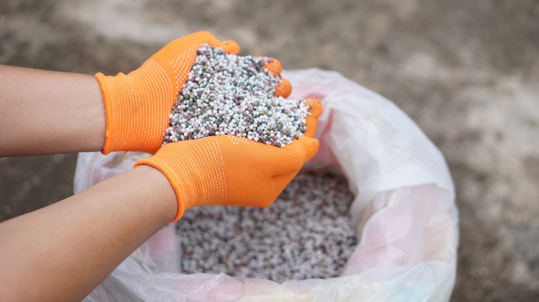 A person scooping fertilizer out of a bag