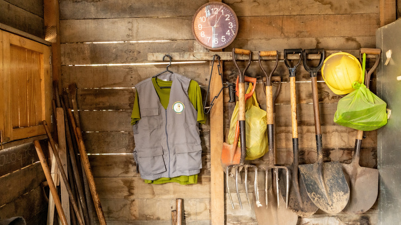 Old gardening tools hanging on the wall