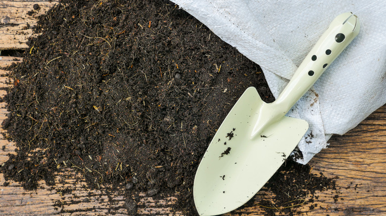 Potting soil spilling out of a bag