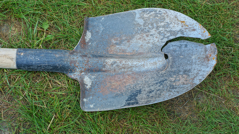 A broken shovel
