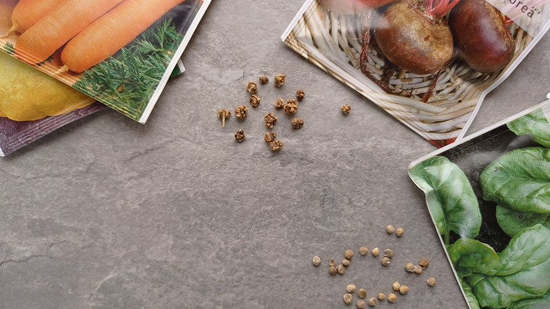 Various vegetable seed packets with loose seeds on a countertop