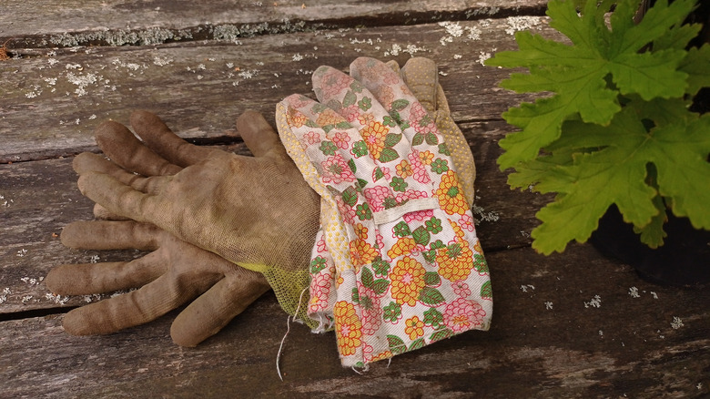 A few old gardening gloves on weathered wooden surface