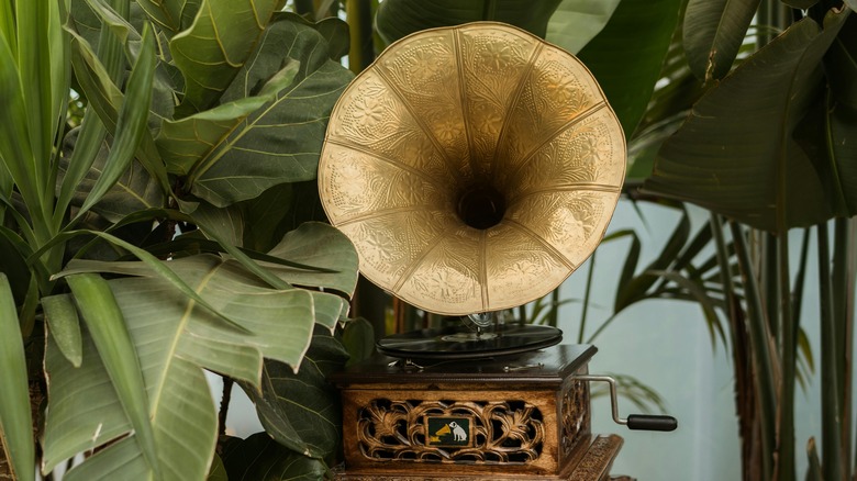 An ornate vintage phonograph sits among tropical leaves